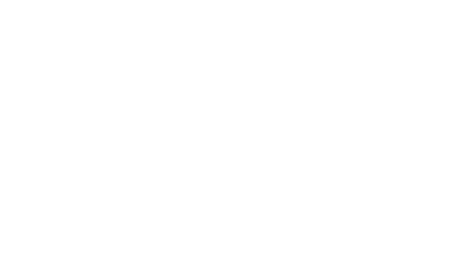 MagnusMode Inclusion Partners World Map